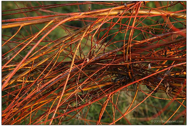 Barga Daily Image – 25 December 2009