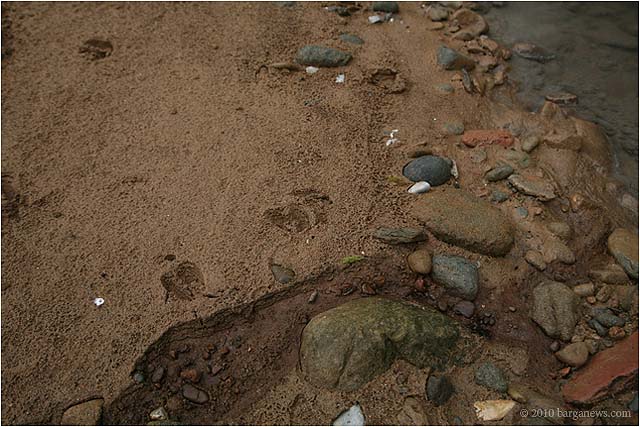 Barga 5th Road 5728 – 24 January 2010