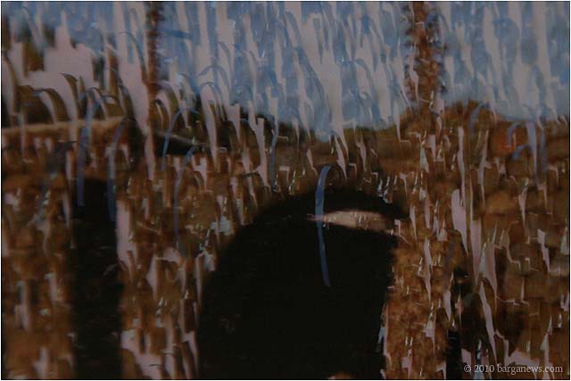 distressed images from Barga_5027 copy