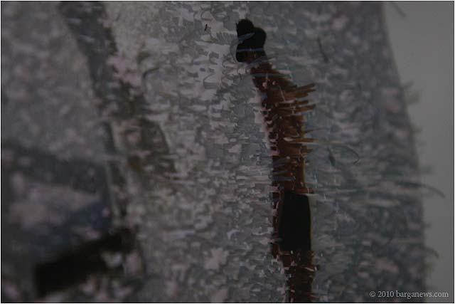 Distressed Images From Barga 5031 – 24 January 2010