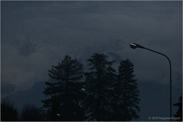 Exhibition Fornaci 4921 – 24 January 2010