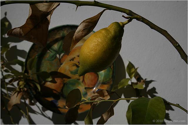 IMG 3479 5885 – 24 February 2010