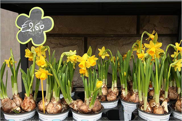 IMG 3493 5897 – 24 February 2010