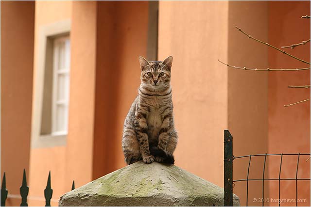 IMG 4469 7136 – 24 February 2010