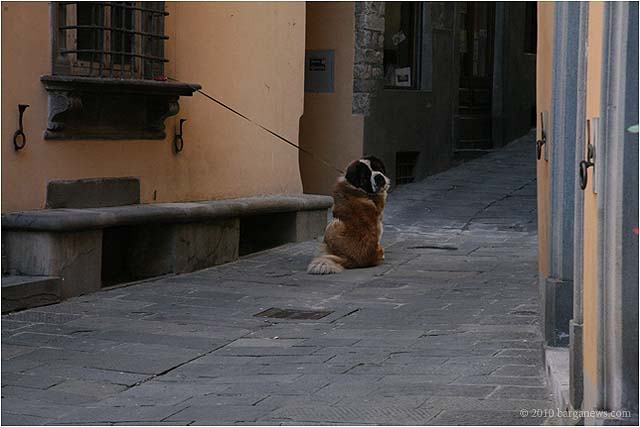 IMG 4944 7615 – 24 February 2010