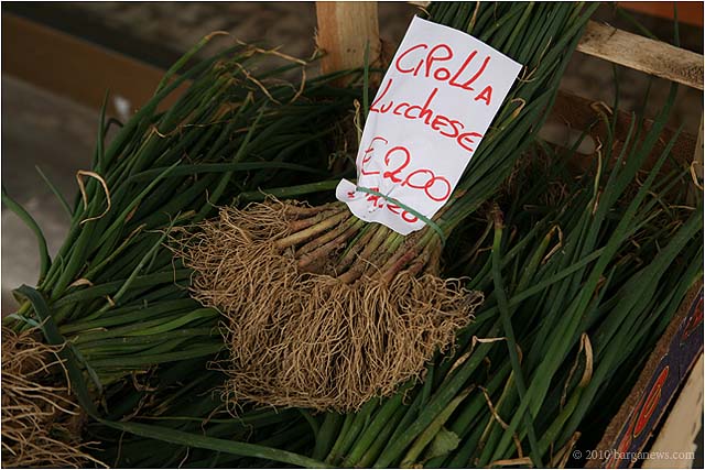 IMG 5299 7969 – 24 March 2010