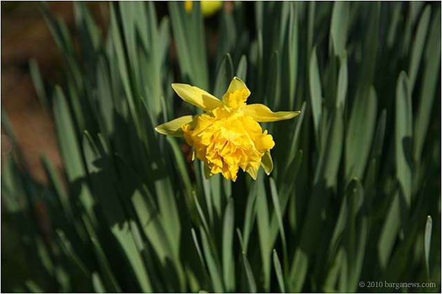 IMG 5544 8280 – 24 March 2010