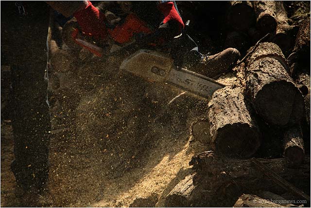 IMG 5564 8300 – 24 March 2010