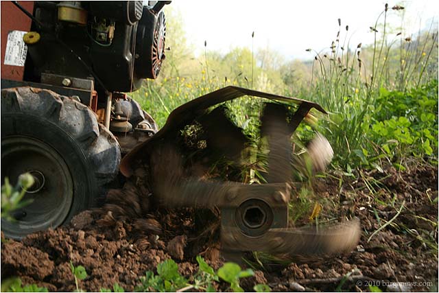 IMG 0154 2881 – 24 April 2010