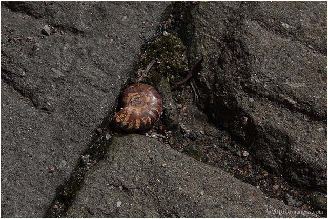 IMG 0623 1264 – 24 April 2010