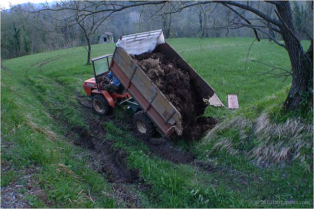 concime lorto barganews vegetable garden barga 20100406_ 0007