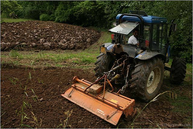 barganews vegetable garden barga 20100523_ 0006