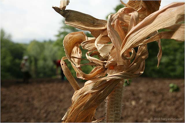 IMG 5509 8277 – 24 June 2010