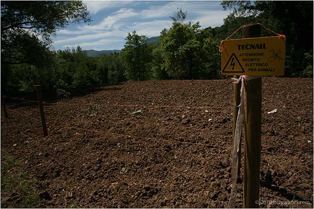 Electric Fence Lorto Barga20100601 0004 – 1 June 2010