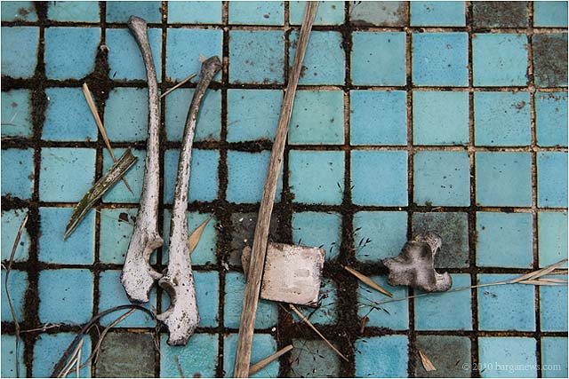 Images From Barga 50 – 24 June 2010