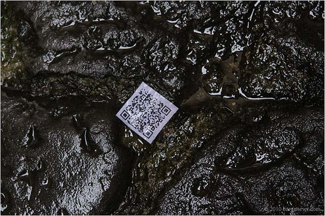 Images From Barga 65 – 24 June 2010