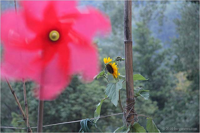 Images From Barga 25 – 24 July 2010