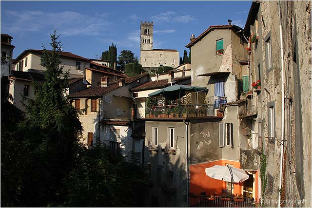 Images From Barga 38 – 24 July 2010