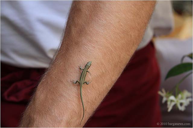 Images From Barga 40 – 24 July 2010
