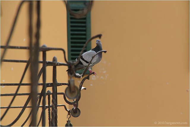 Images Of Barga 121 – 24 July 2010