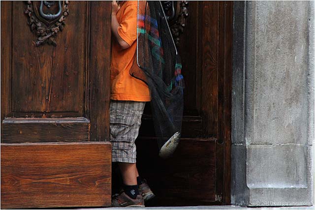 Images Of Barga 23 – 24 July 2010