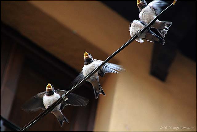 IMG 1546 – 24 August 2010