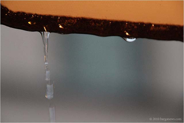 IMG 1641 – 24 August 2010