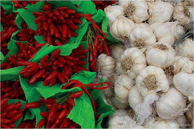 IMG 1644 – 24 August 2010