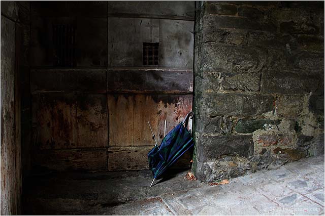 IMG 1783 – 24 August 2010