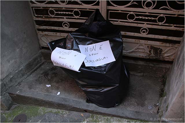 IMG 2619 – 24 August 2010