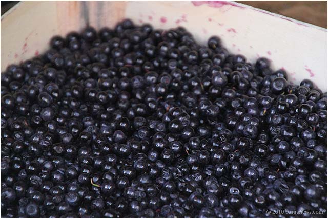 IMG 3916 – 24 September 2010