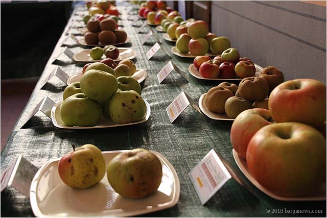 IMG 5459 – 24 September 2010