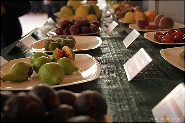 BioGustando: il gusto della biodiversità