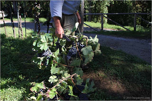 IMG 6316 – 24 September 2010