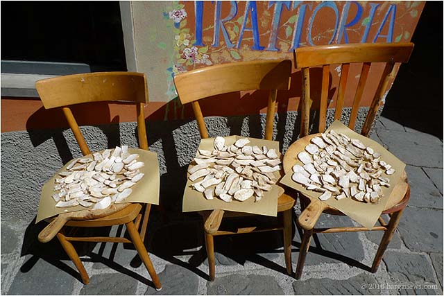 P1020530 – 24 September 2010