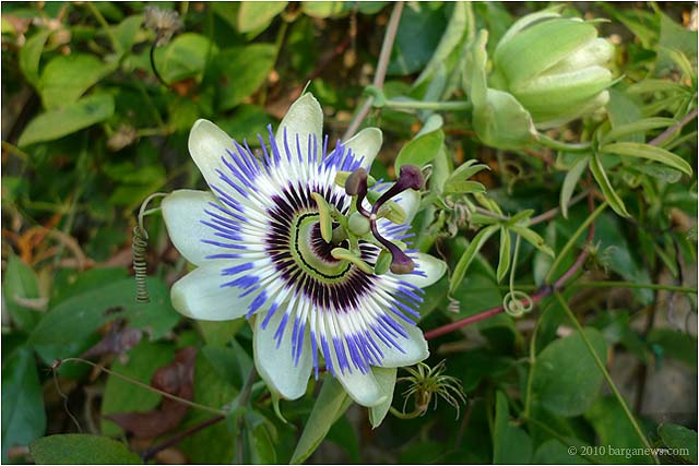 P1020570 – 24 September 2010