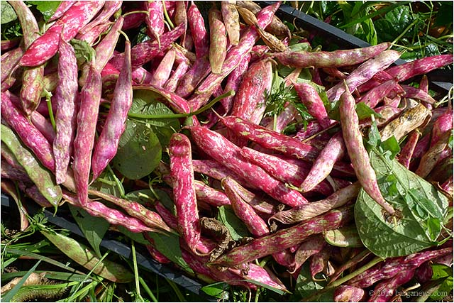 P1020614 – 24 September 2010