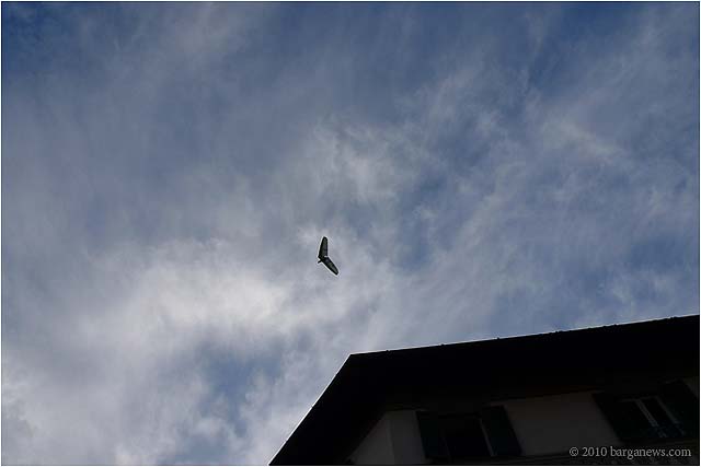 P1020768 – 24 September 2010