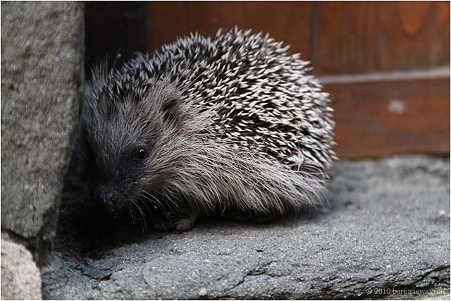 IMG 7314 – 24 October 2010