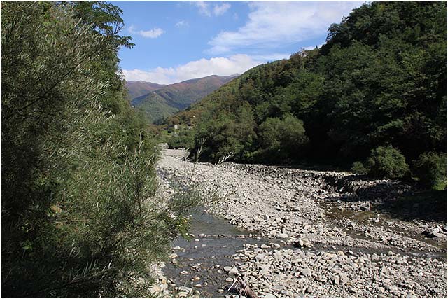 IMG 7439 – 24 October 2010