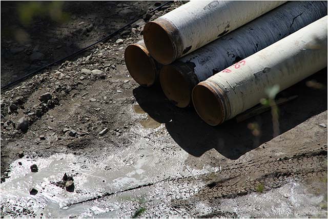 IMG 7474 – 24 October 2010