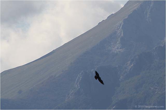 Asbestos and Autumn colours