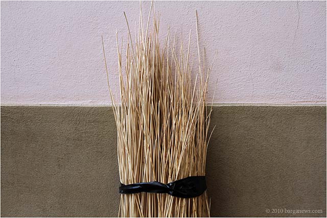 IMG 8028 – 24 October 2010