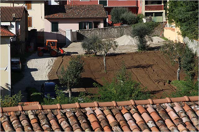 IMG 9112 – 24 October 2010