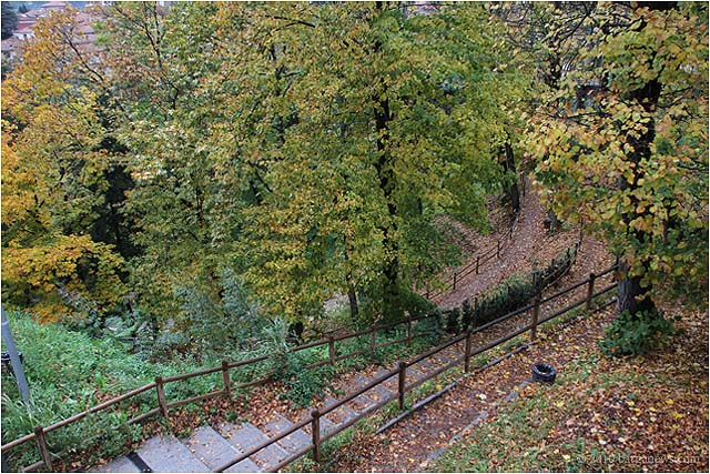 IMG 9342 – 24 October 2010