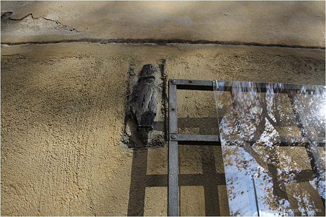 IMG 0079 – 24 November 2010