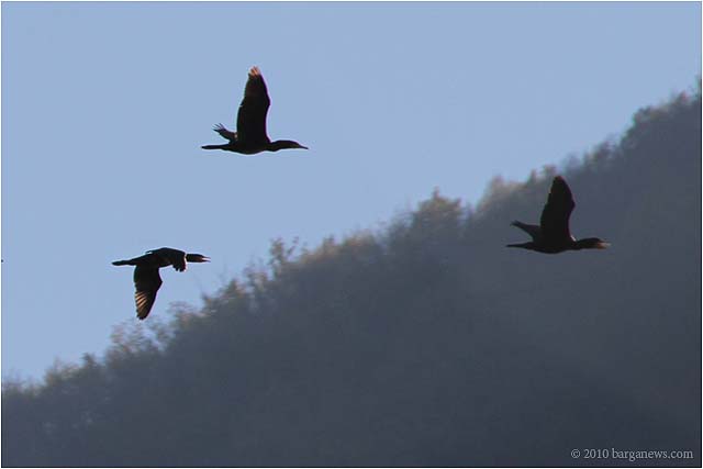 IMG 0210 – 24 November 2010