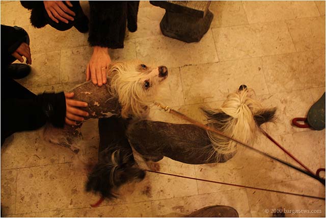 IMG 0483 – 24 November 2010