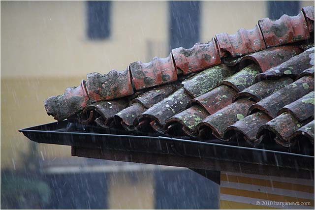 IMG 0550 – 24 November 2010