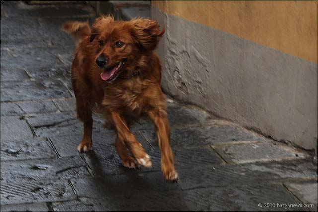 IMG 1582 – 24 November 2010